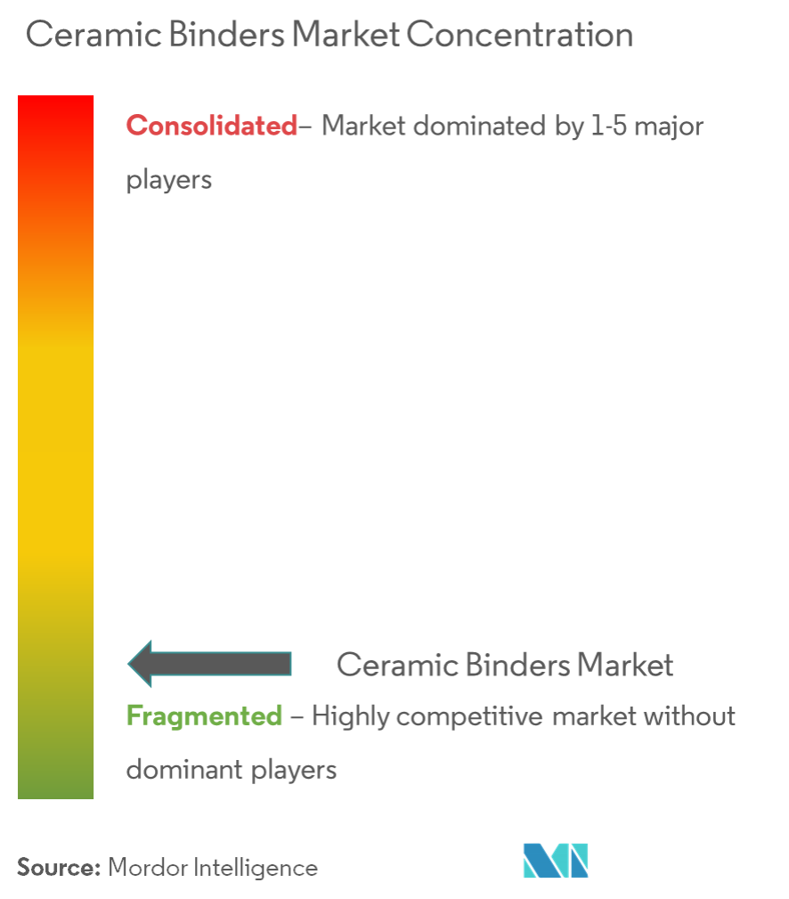 3M, Almatis, Bhiwadi Polymers Limited, The DuPont Chemical Company, Kuraray, Kyoeisha Chemical Co. Ltd, Polychemistry, Ransom Randolph